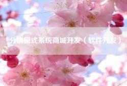 分销模式系统商城开发（软件开发）