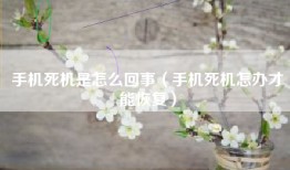 手机死机是怎么回事（手机死机怎办才能恢复）