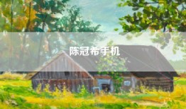 陈冠希手机