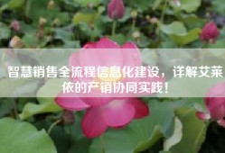 智慧销售全流程信息化建设，详解艾莱依的产销协同实践！