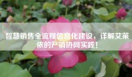 智慧销售全流程信息化建设，详解艾莱依的产销协同实践！
