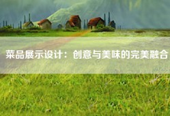 菜品展示设计：创意与美味的完美融合