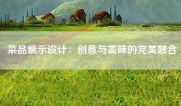 菜品展示设计：创意与美味的完美融合