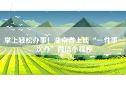 掌上轻松办事！湖南省上线“一件事一次办”微信小程序