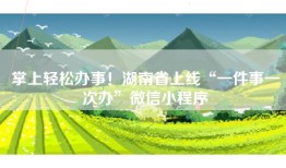 掌上轻松办事！湖南省上线“一件事一次办”微信小程序