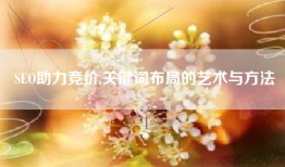 SEO助力竞价,关键词布局的艺术与方法