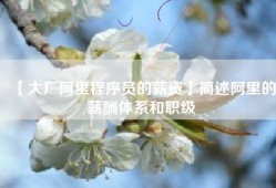 【大厂阿里程序员的薪资】简述阿里的薪酬体系和职级
