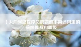 【大厂阿里程序员的薪资】简述阿里的薪酬体系和职级
