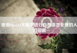 使用OpenAI大模型进行自然语言处理的入门指南