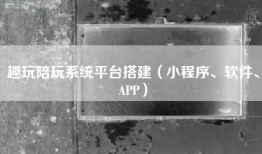 趣玩陪玩系统平台搭建（小程序、软件、APP）