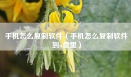 手机怎么复制软件（手机怎么复制软件到u盘里）