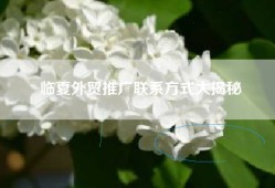 临夏外贸推广联系方式大揭秘