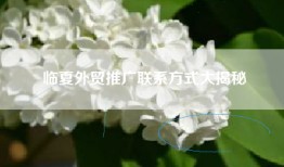 临夏外贸推广联系方式大揭秘