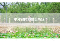 小外贸网站建设高安市