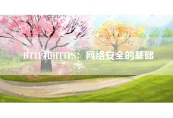 HTTP和HTTPS：网络安全的基础