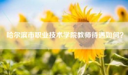 哈尔滨市职业技术学院教师待遇如何？