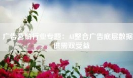 广告营销行业专题：AI整合广告底层数据，供需双受益