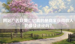 网站广告联盟：它真的是商家获得收入的最佳途径吗？