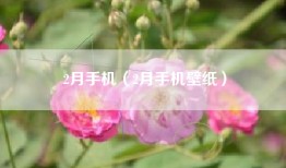 2月手机（2月手机壁纸）