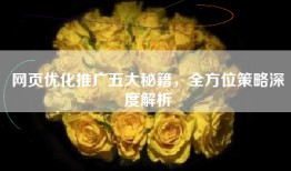 网页优化推广五大秘籍，全方位策略深度解析
