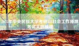 2025年中央民族大学考研331社会工作原理考试大纲梳理