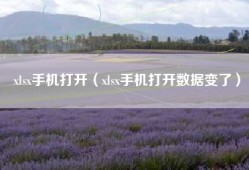 xlsx手机打开（xlsx手机打开数据变了）