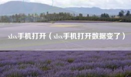 xlsx手机打开（xlsx手机打开数据变了）