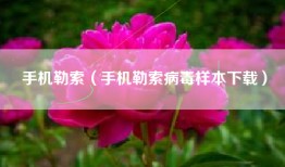 手机勒索（手机勒索病毒样本下载）