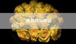 南县网站建设