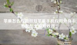 苹果怎么应用双开苹果手机应用分身「苹果怎么应用双开」