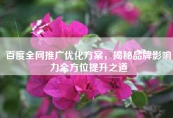 百度全网推广优化方案，揭秘品牌影响力全方位提升之道