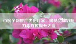 百度全网推广优化方案，揭秘品牌影响力全方位提升之道
