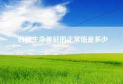 四项生命体征的正常值是多少