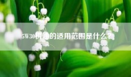 5W30机油的适用范围是什么？