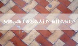 安顺seo新手该怎么入门？有什么技巧？