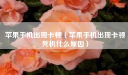 苹果手机出现卡顿（苹果手机出现卡顿死机什么原因）