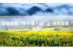智能客服“听不懂人话”？ 消费者很“闹心”