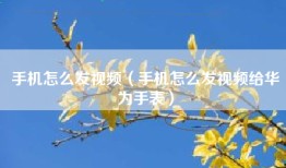 手机怎么发视频（手机怎么发视频给华为手表）