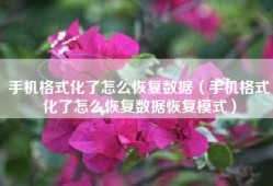 手机格式化了怎么恢复数据（手机格式化了怎么恢复数据恢复模式）