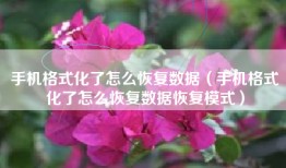 手机格式化了怎么恢复数据（手机格式化了怎么恢复数据恢复模式）