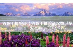 谷歌手机验证（谷歌手机验证次数过多怎么办）