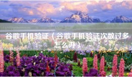 谷歌手机验证（谷歌手机验证次数过多怎么办）