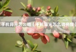手机背光怎么调（手机背光怎么调亮度）