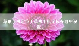 苹果手机定位（苹果手机定位在哪里设置）