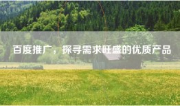 百度推广，探寻需求旺盛的优质产品