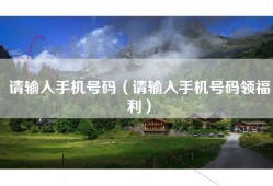 请输入手机号码（请输入手机号码领福利）