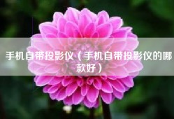 手机自带投影仪（手机自带投影仪的哪款好）