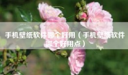 手机壁纸软件哪个好用（手机壁纸软件哪个好用点）