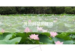 外贸网站的建设