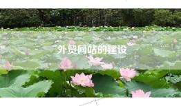 外贸网站的建设